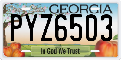 GA license plate PYZ6503