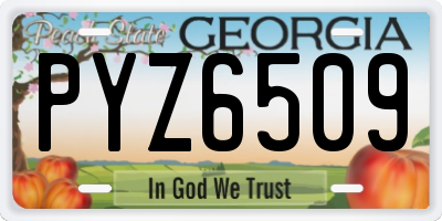 GA license plate PYZ6509