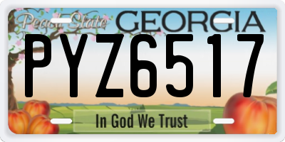 GA license plate PYZ6517