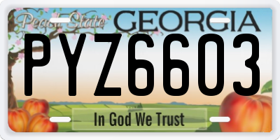 GA license plate PYZ6603