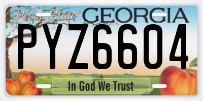 GA license plate PYZ6604