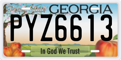 GA license plate PYZ6613