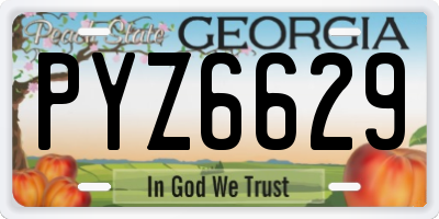 GA license plate PYZ6629