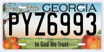 GA license plate PYZ6993