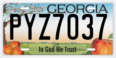 GA license plate PYZ7037