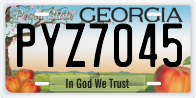 GA license plate PYZ7045