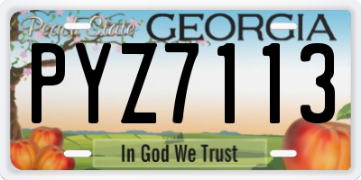 GA license plate PYZ7113