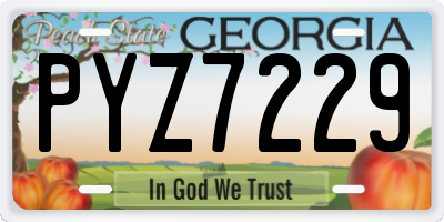 GA license plate PYZ7229