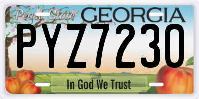 GA license plate PYZ7230