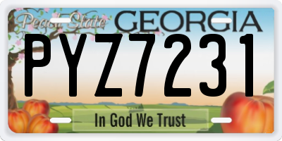 GA license plate PYZ7231