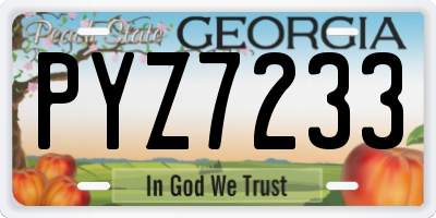 GA license plate PYZ7233
