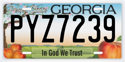 GA license plate PYZ7239