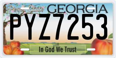 GA license plate PYZ7253