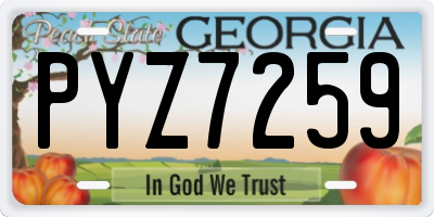GA license plate PYZ7259