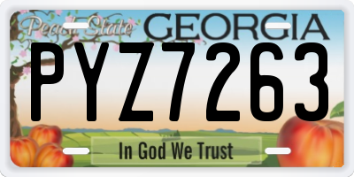 GA license plate PYZ7263