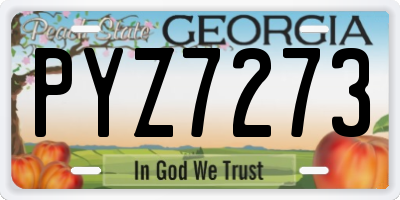 GA license plate PYZ7273