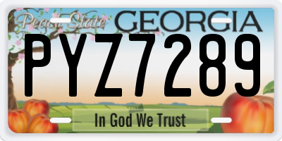 GA license plate PYZ7289