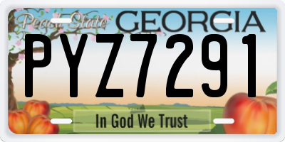 GA license plate PYZ7291