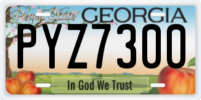 GA license plate PYZ7300