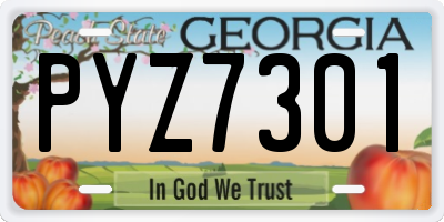 GA license plate PYZ7301