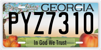 GA license plate PYZ7310