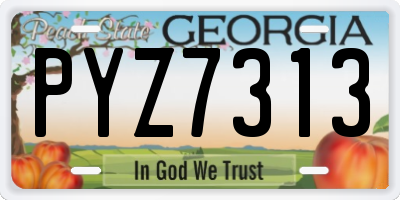 GA license plate PYZ7313
