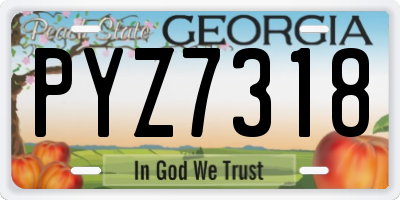 GA license plate PYZ7318
