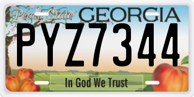 GA license plate PYZ7344