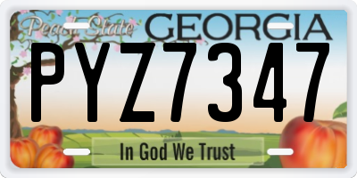 GA license plate PYZ7347