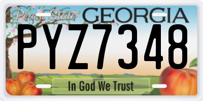 GA license plate PYZ7348