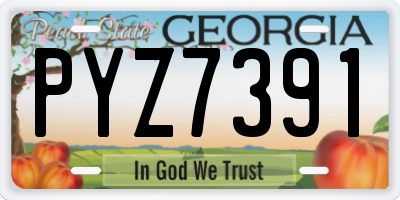 GA license plate PYZ7391