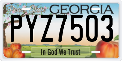 GA license plate PYZ7503