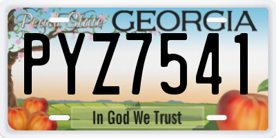 GA license plate PYZ7541