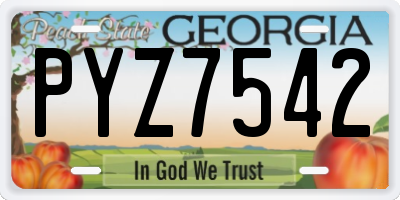 GA license plate PYZ7542