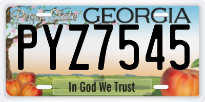 GA license plate PYZ7545