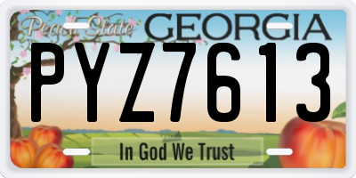 GA license plate PYZ7613