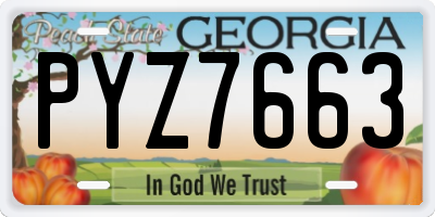 GA license plate PYZ7663