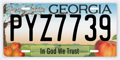 GA license plate PYZ7739