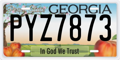 GA license plate PYZ7873