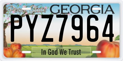GA license plate PYZ7964