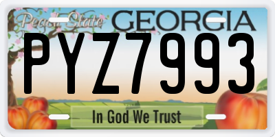 GA license plate PYZ7993