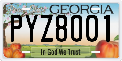 GA license plate PYZ8001