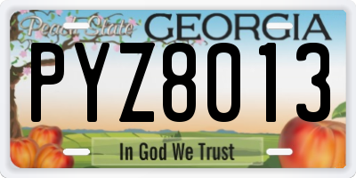 GA license plate PYZ8013