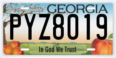 GA license plate PYZ8019
