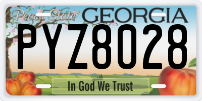 GA license plate PYZ8028