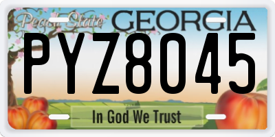 GA license plate PYZ8045