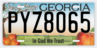 GA license plate PYZ8065