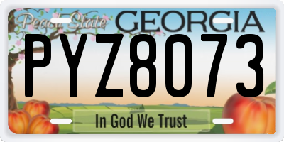 GA license plate PYZ8073