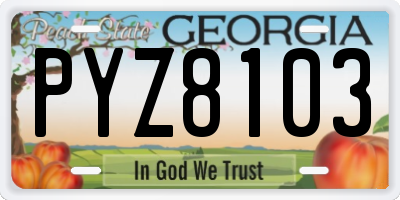 GA license plate PYZ8103