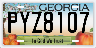 GA license plate PYZ8107